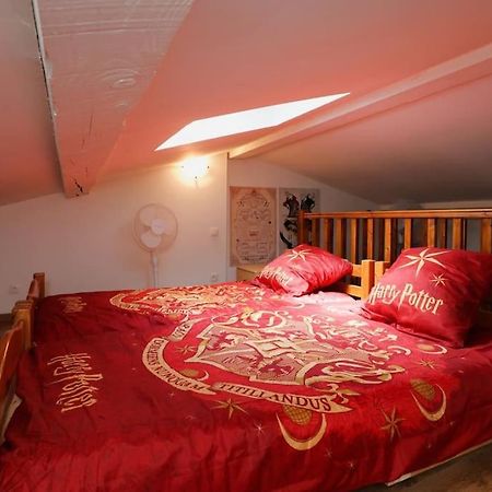 Harry Potter - Le Logis Du Petit Sorcier - Clim Apartment Каркасон Екстериор снимка
